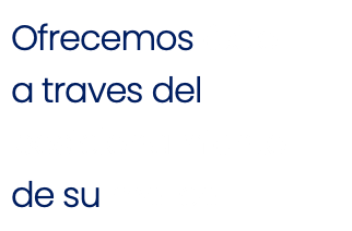 Ofrecemos éxito a traves del posicionamiento de su marca